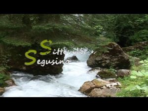 Setteville – Segusino, parole e immagini dal basso feltrino Agosto 2020