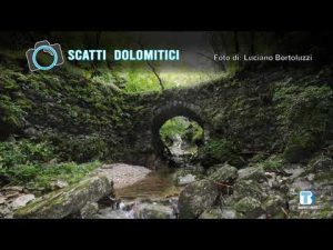 Luciano Bortoluzzi – 04