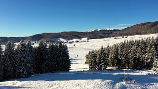 Quaderni dell’Alpago del 20 gennaio 2021