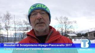 Quaderni dell’Alpago del 8 febbraio 2017