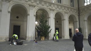 A Palazzo Chigi torna l’albero di Natale bellunese