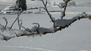 Meteo bellunese: un 2021 nella norma