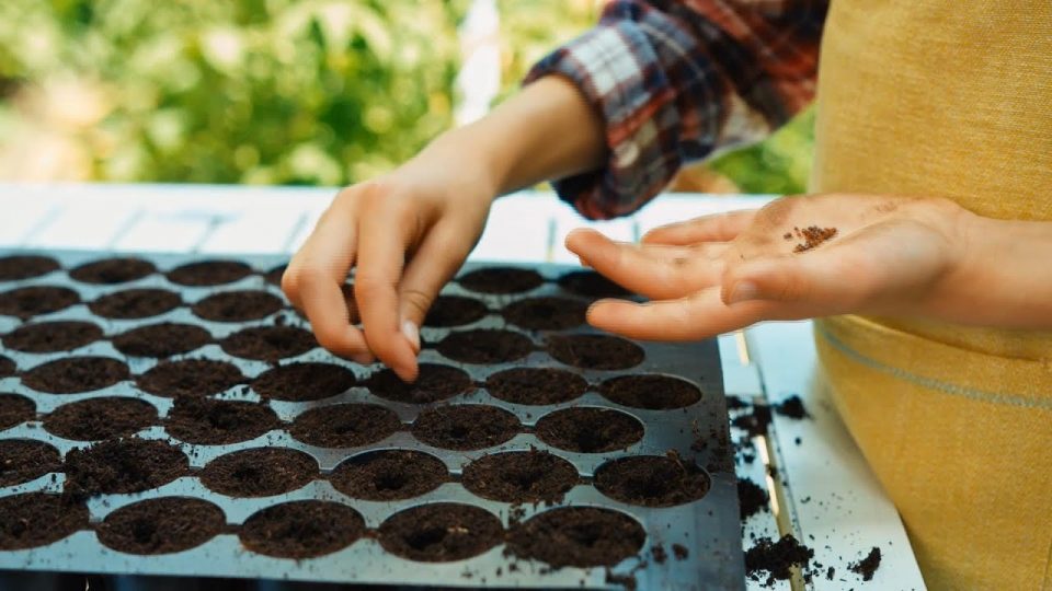 A Belluno un progetto per l’educazione e il rispetto per l’ambiente