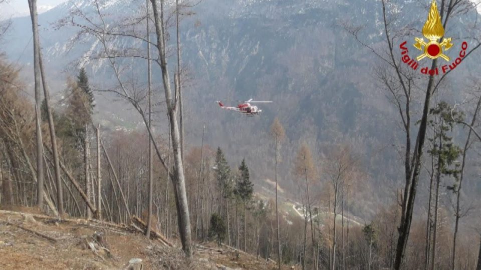 Gosaldo, dramma fra i boschi: 59enne muore travolto dai tronchi