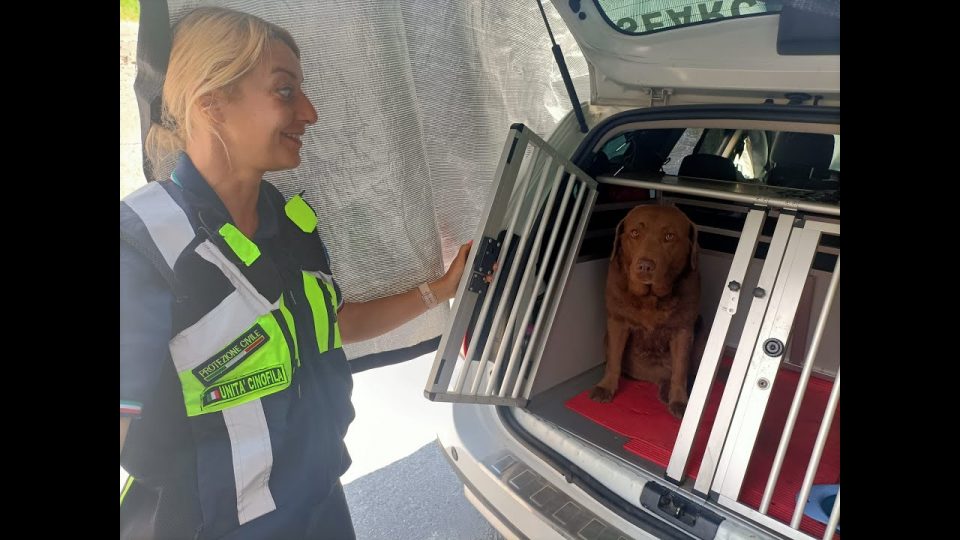 A Chies d’Alpago, l’esercitazione dei volontari di protezione civile di Treviso