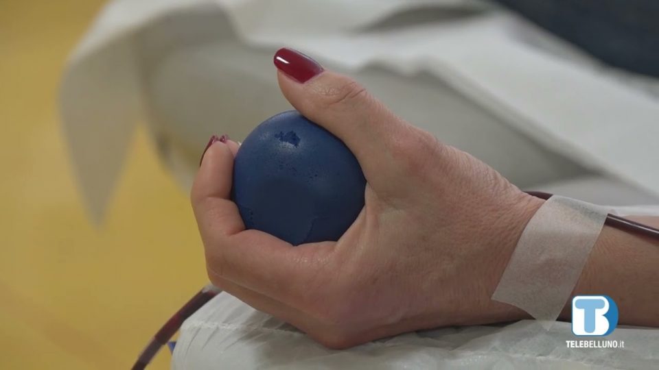 Giornata mondiale del donatore di sangue: i dati bellunesi