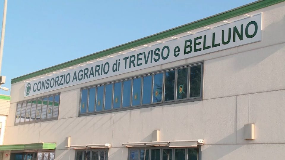 Caro vita e siccità, a soffrire è anche il mondo agricolo. L’allarme del Consorzio Agrario