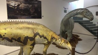 Record di presenze per i dinosauri di Selva di Cadore