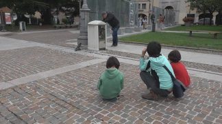 Un falco pellegrino preda un piccione in piazza Martiri, intervengono le guardie provinciali