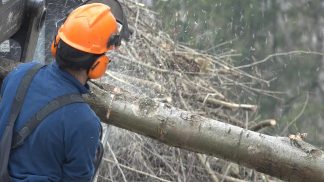 Quaderni dell’Alpago del 1 marzo 2023