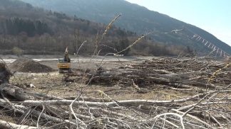 Cos’è il “decreto legna” e quali effetti può portare sul territorio