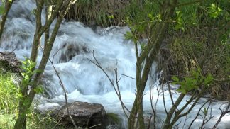 Quaderni dell’Alpago del 29 marzo 2023