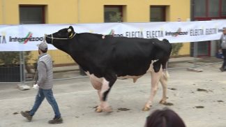 Inaugurato all’Intermizoo il nuovo laboratorio di sessaggio del seme