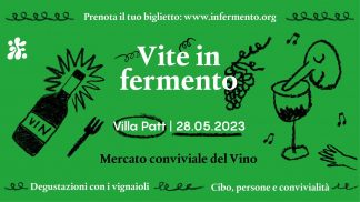 Vite in fermento: il mercato conviviale del vino