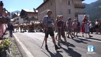 A Selva di Cadore la tradizionale “desmontegada”