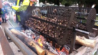 La fiera di San Martino a Belluno: un grande successo di pubblico