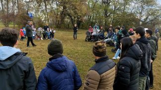 A Feltre e a Belluno la “festa degli alberi”