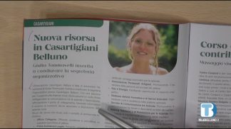 Insieme – Rassegna di giornali della provincia di Belluno – 29/11/2023