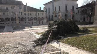 Abbattuto con una motosega l’albero di Natale in Piazza Maggiore: “Gesto inqualificabile”
