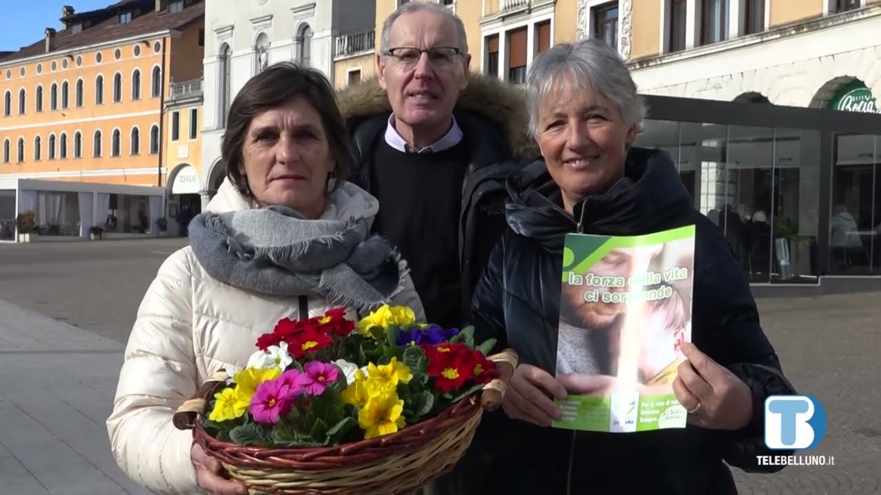 Domenica 4 febbraio si celebra la 46° Giornata per la Vita – Telebelluno