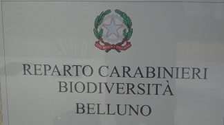 Elisabetta Tropea è il nuovo comandante del Reparto Carabinieri Biodiversità di Belluno